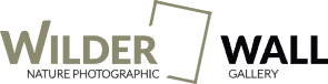 logo-wilder-wall