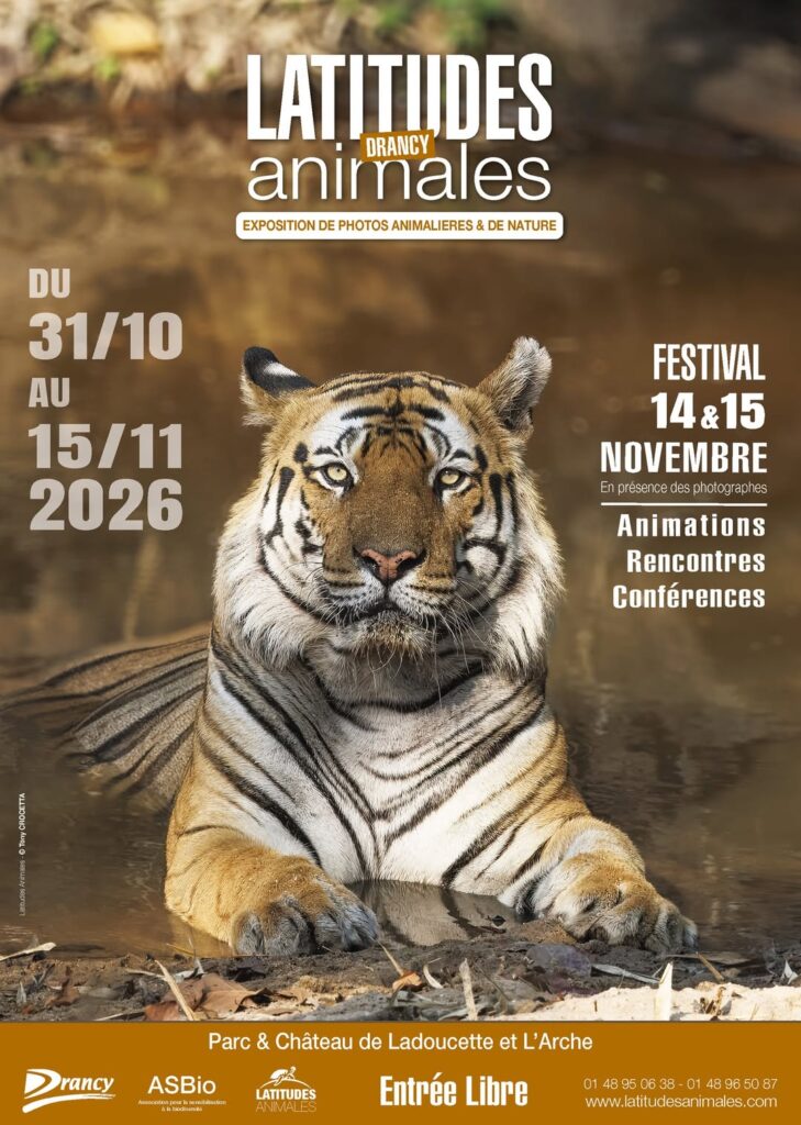 Visuel d'annonce textuel pour une exposition d'automne affichant un gros plan sur les yeux d'un tigre du Bengale.